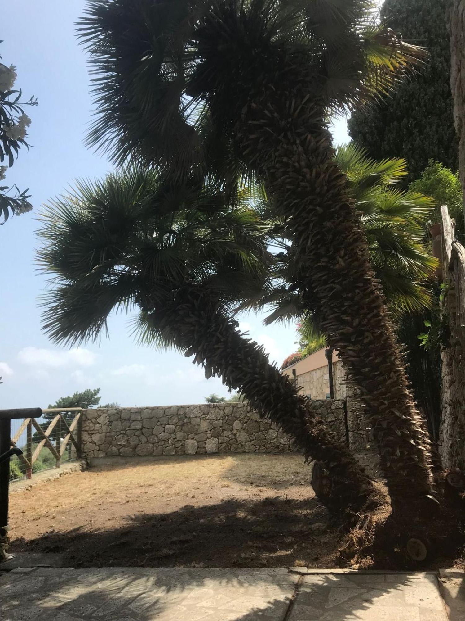 Appartamento La Cita Ca - Vista Mare Finale Ligure Esterno foto